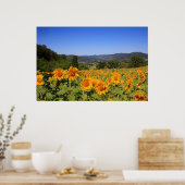 Umbrian Countryside - Italië Print (Keuken)
