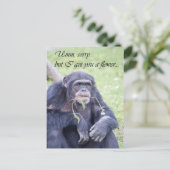 Umm Briefkaart (Staand voorkant)