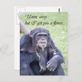 Umm Briefkaart (Voorkant / Achterkant)