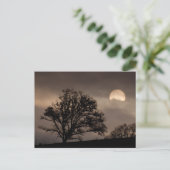 Umpqua Valley Sunrise Briefkaart (Staand voorkant)