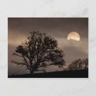 Umpqua Valley Sunrise Briefkaart