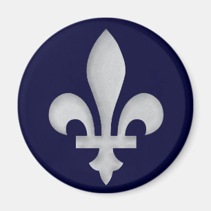 Un aimant à fleur de lys en argent