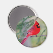 Un aimant cardinal nordique lumineux (Recto/Verso)