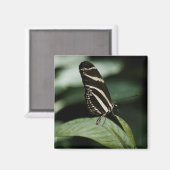 Un aimant de repas équilibré (Recto/Verso)