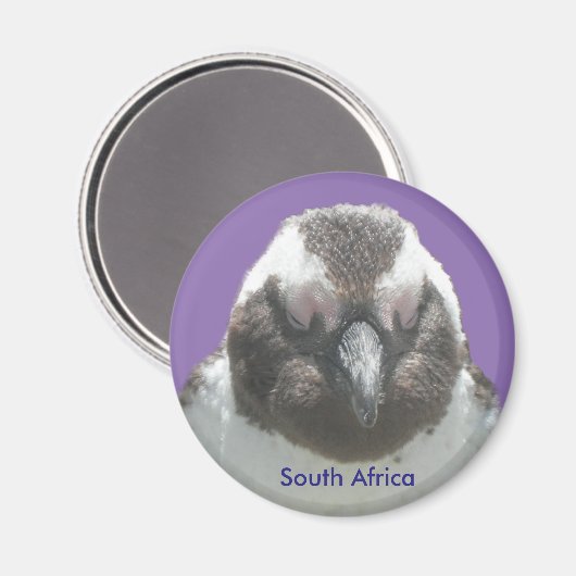 Un aimant personnalisable pour pingouin sud-africa (Recto/Verso)