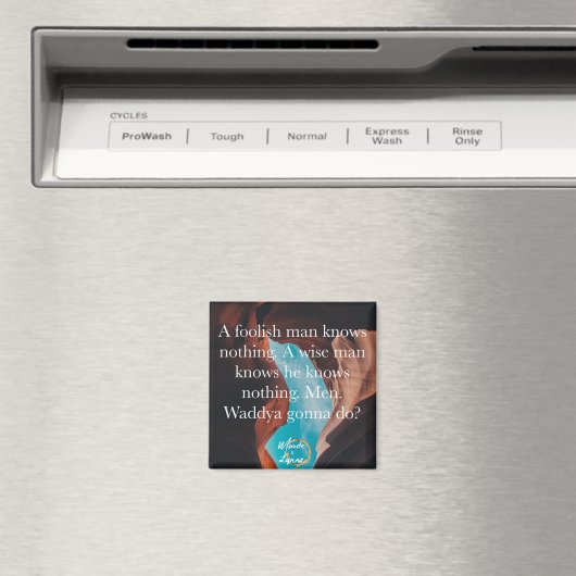 Un aimant pour homme fou (In Situ (Lave-vaisselle))