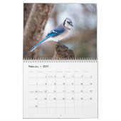 Un An Dans Le Calendrier Des Oiseaux (Feb 2027)