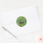 Un autocollant de papillon monarque (Enveloppe)