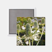 Un autre aimant Plante Cool (Recto/Verso)