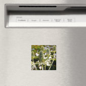 Un autre aimant Plante Cool (In Situ (Lave-vaisselle))