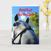 Un autre anniversaire ? Carte de voeux drôle de ch (Fleur jaune)