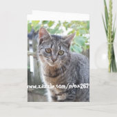 Un autre anniversaire ? T'es pas si vieux ? Carte  (Dos)