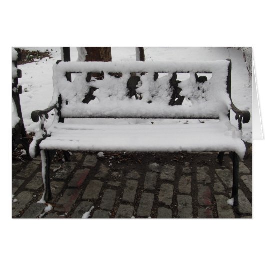 UN BANC DE NEIGE COUVERT DE NEIGE (Devant horizontal)