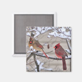 Un bel aimant montre des cardinaux rouges dans la  (Recto/Verso)