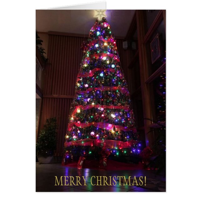 Un bel arbre de Noël aux reflets (Devant)