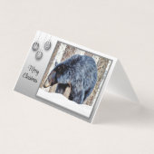 Un bel ours noir dans la neige. (Front)