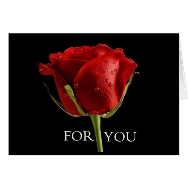 UN BEL ROSE POUR ***MEILLEUR AMI** À L'ANNIVERSAIR (Devant horizontal)