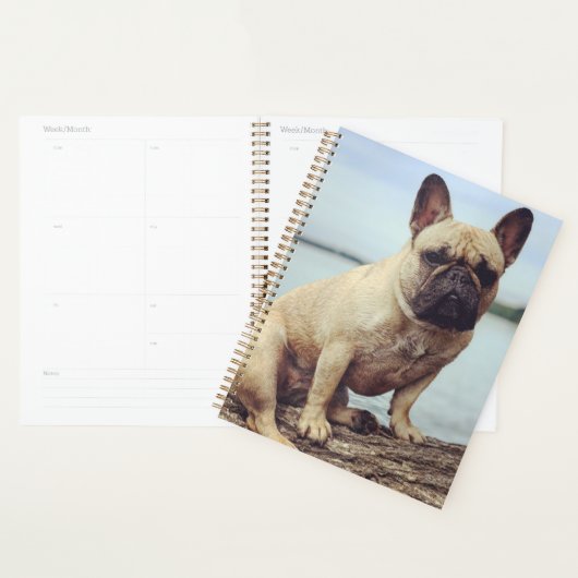 Un Bulldog français (Devant avec enveloppe)