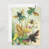 Un buzz de belles cartes postales d'abeilles (Devant / Derrière)