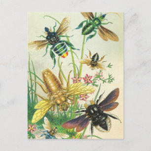 Un buzz de belles cartes postales d'abeilles