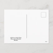 Un Cadre De Bougie De Noël. Carte postale de vacan (Dos)