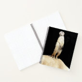 Un cahier suricate excentrique (Intérieur)