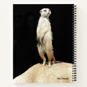 Un cahier suricate excentrique (Dos)
