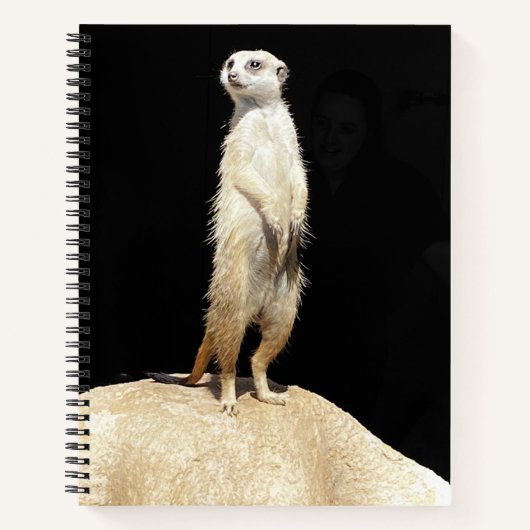 Un cahier suricate excentrique (Devant)