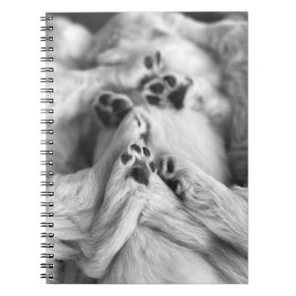 Un cahier Un tas de pattes de chiot