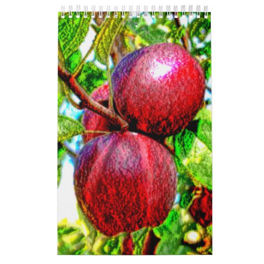 Un calendrier de fin gourmet (Protection)