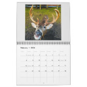 Un calendrier de Fire Island Tale 2025 (Feb 2026)