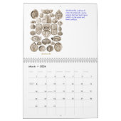 Un calendrier des dessins de coquille d'Ernst (Mar 2026)