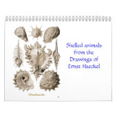 Un calendrier des dessins de coquille d'Ernst (Protection)