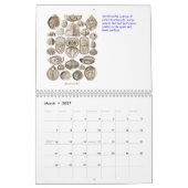 Un calendrier des dessins de coquille d'Ernst (Mar 2027)