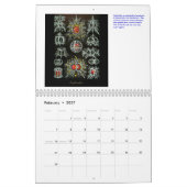 Un calendrier des dessins de coquille d'Ernst (Feb 2027)
