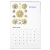 Un calendrier des dessins d'Ernst Haeckel. (Mar 2026)
