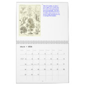 Un calendrier des dessins d'Ernst Haeckel (Mar 2026)