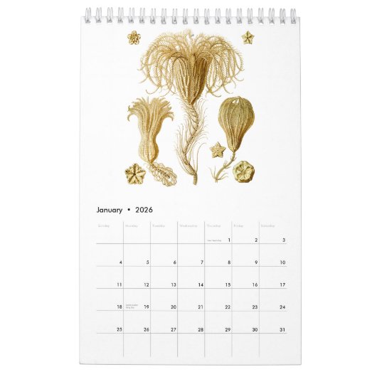 Un calendrier des dessins d'Ernst Haeckel (Jan 2026)