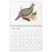 Un calendrier des painitings d'oiseau de John (Mar 2026)
