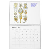 Un calendrier des plantes et des animaux (Feb 2026)