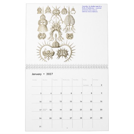Un calendrier des plantes et des animaux (Jan 2027)
