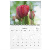 Un calendrier du jardin 2010 de tulipe (Jan 2027)