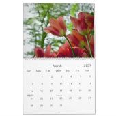 Un calendrier du jardin 2010 de tulipe (Mar 2027)
