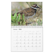 Un calendrier sauvage avec des photos de la faune (Jan 2026)