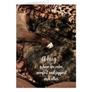 "Un câlin..................."