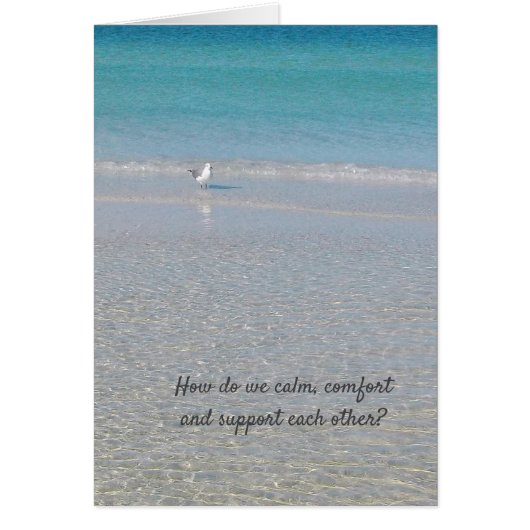 "Un câlin..................." (Devant)