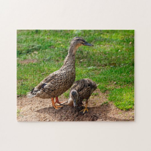 Un canard à Majard et son puzzle à canards (Horizontal)