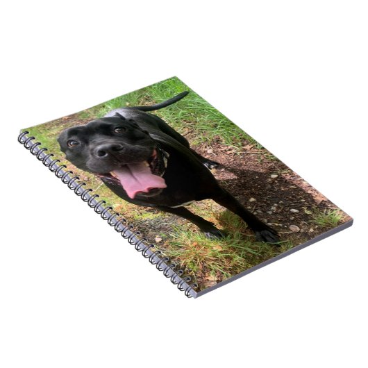 Un Carnet Cane Corso X (Côté Droit)