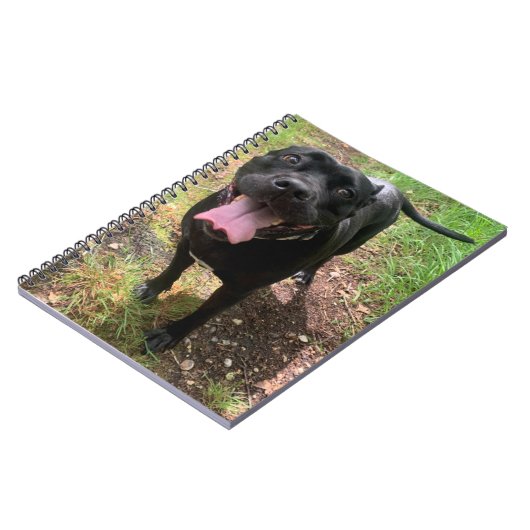 Un Carnet Cane Corso X (Côté gauche)