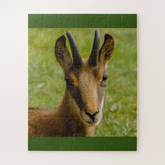un chamois des Alpes sur puzzle (Vertical)